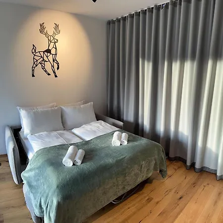 Apartmán Soca Valley *
